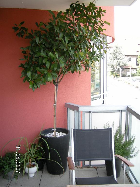 Appartement Am Salamanderpark Kornwestheim Exteriér fotografie